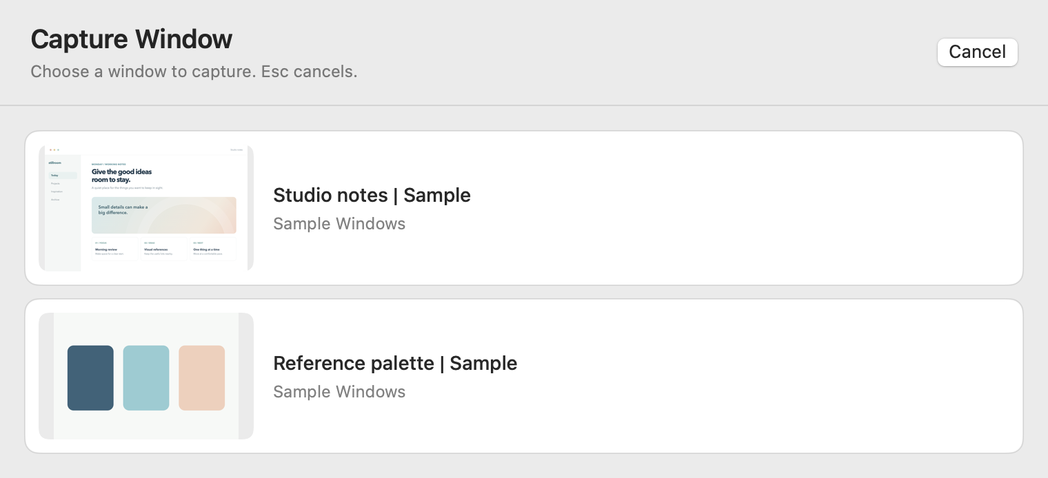 Shot's window chooser listing two sample windows